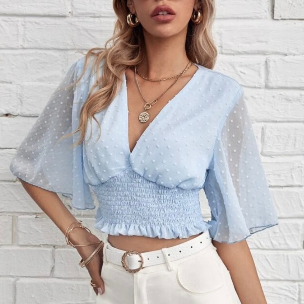 Baby Blue Sheer Crop Top